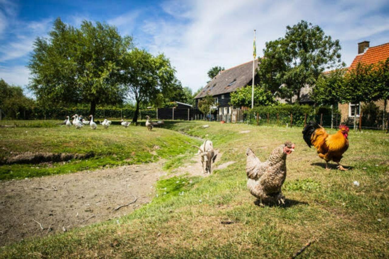 Chalet Holidayhome 4 Persons - Kon Emmaweg 26 'uitspanning Oranjezon' Vrouwenpolder